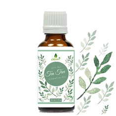 Essential Oils